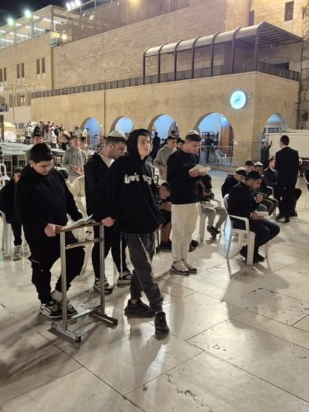 WhatsApp Image 2026-01-14 at 01.28.44